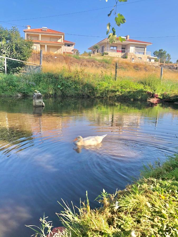 Casa da Quinta da Prelada Simão partie basse Celorico De Basto Exterior foto