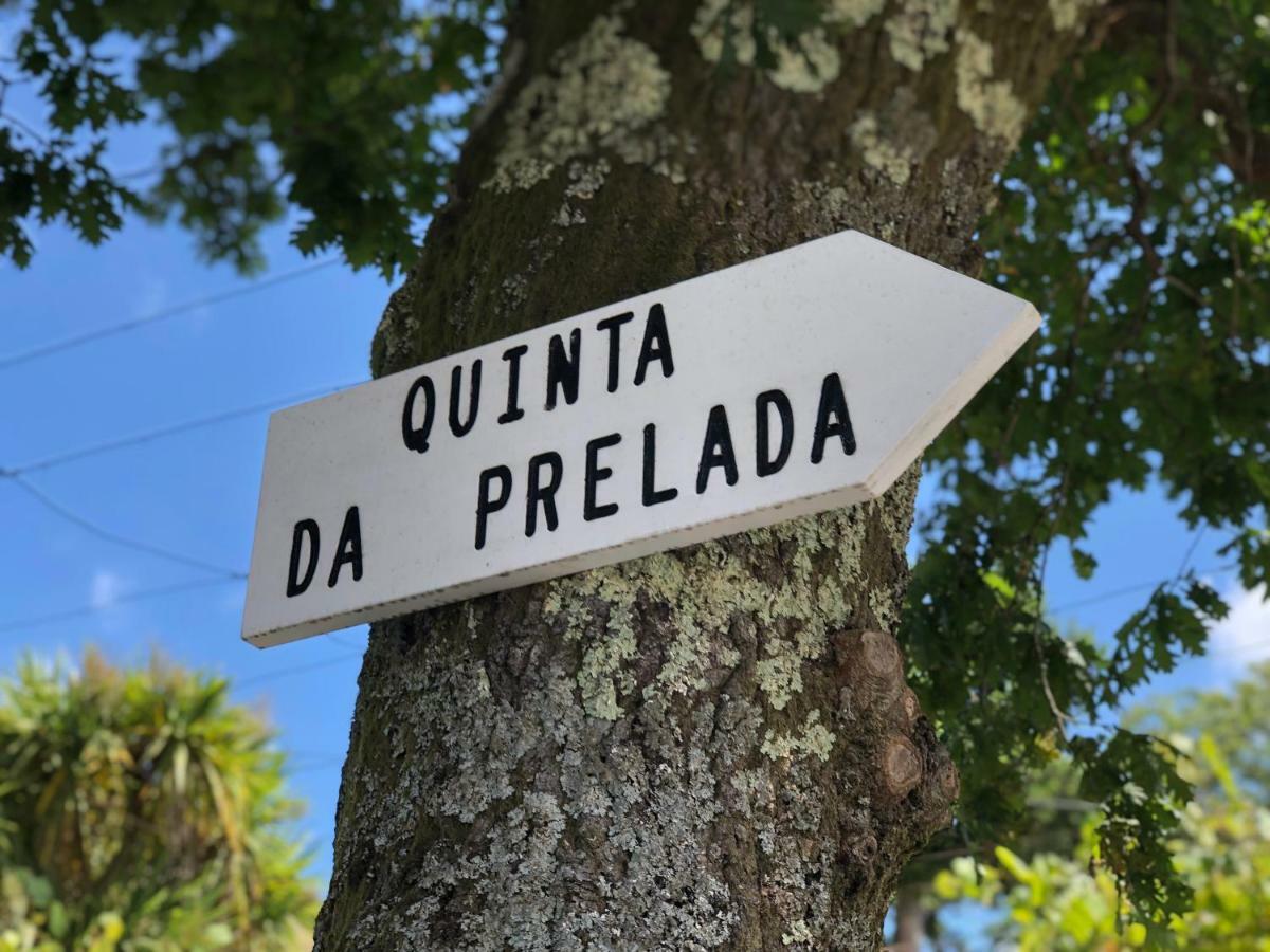 Casa da Quinta da Prelada Simão partie basse Celorico De Basto Exterior foto