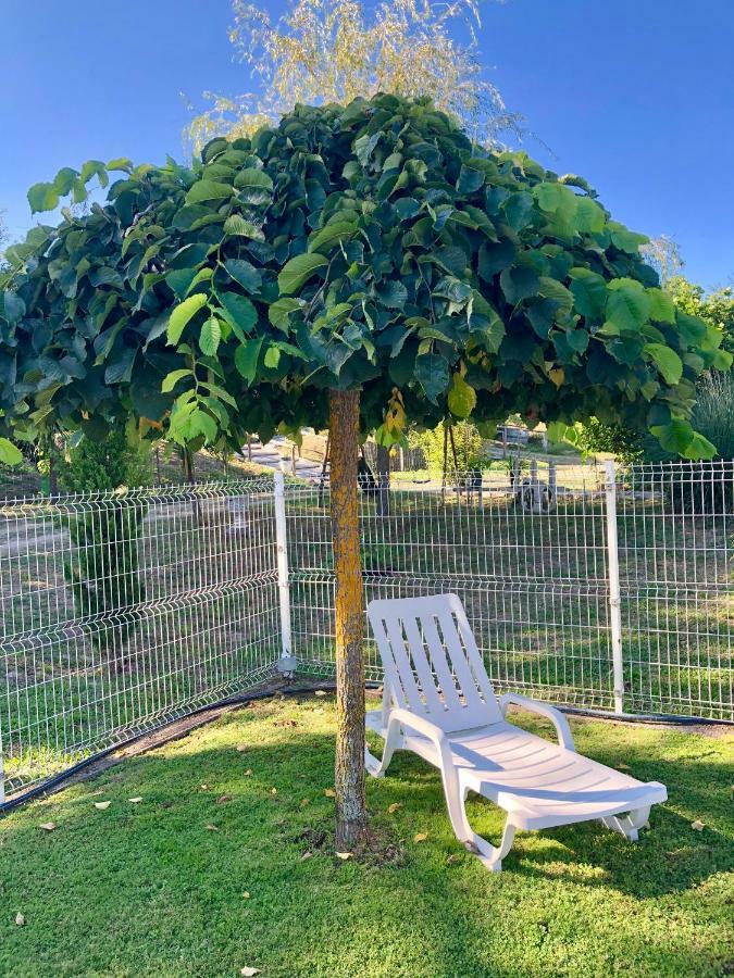 Casa da Quinta da Prelada Simão partie basse Celorico De Basto Exterior foto